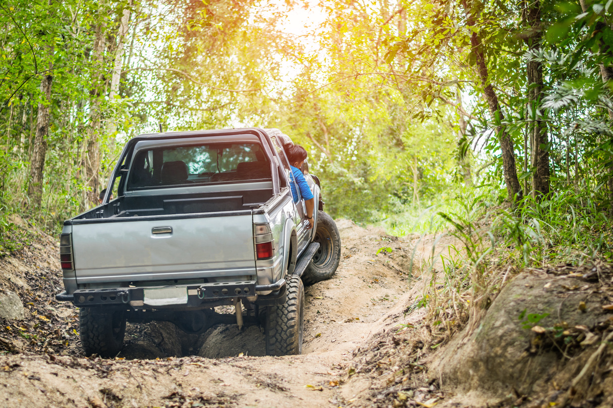 4 Wheel Drive in the Forest